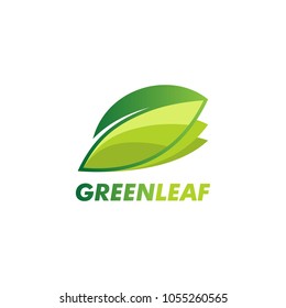 green leaf nature vector logo