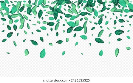Ilustración de fondo transparente de vector de naturaleza de hoja verde. Rama de Follaje Fresco. Planta de té de hojas de bosque. Patrón de remolino de verdes.