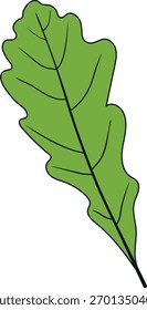 Folha verde de carvalho (Quercus robur) isolada sobre fundo branco
