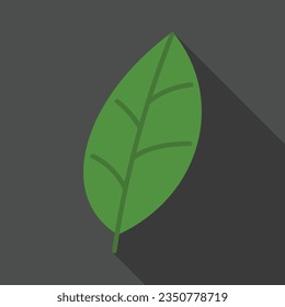 Green leaf on black background flat icon with long shadow. Simple Biology icon pictogram vector illustration. Tree, plant, chlorophyll, botanist, biology concept. Logo design
