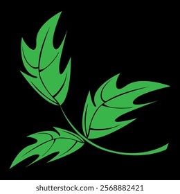 green leaf on black background