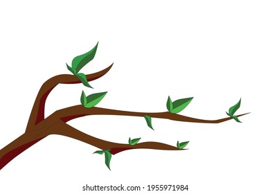 green leaf on branch of tree