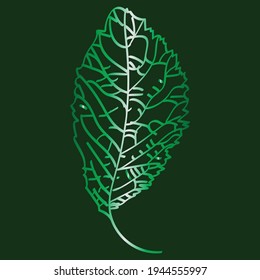 Green leaf on dark background, vector