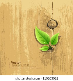 Green Leaf on old wood wallpaper background, vector illustration