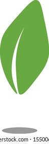 Green leaf on white background, nature conservation concept.Vector illustration.