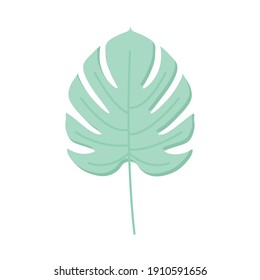 green leaf on a white background vector illustration design