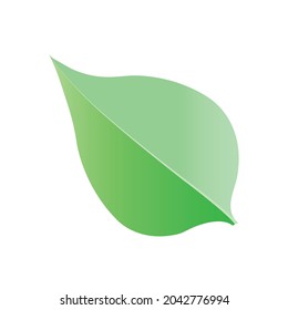 Green Leaf on white background Vector