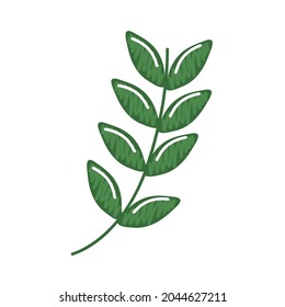 hoja verde sobre fondo blanco