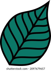 Green leaf on a white background. Vector illustration