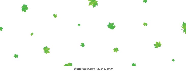 green leaf on white background