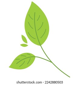 Green leaf on a white background. The concept of environmental sustainability.