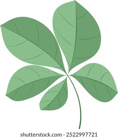 Folha verde sobre fundo branco. Folha de castanheiro. Ilustração vetorial.