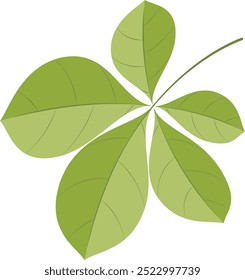 Green Leaf on white background. Chestnut leaf. Vector illustration.