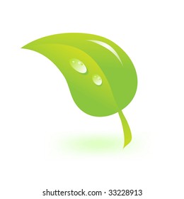 Green leaf on white. Environmental icon