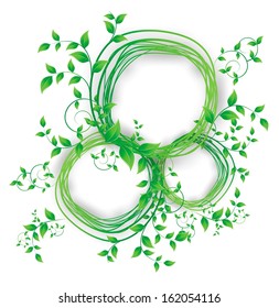 green leaf on white isolated background