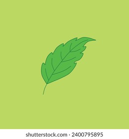 Hoja verde sobre el fondo amarillo