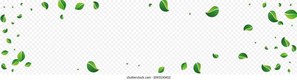 Green Leaf Organic Vector Panoramic Transparent Background. Wind Foliage Border. Mint Greens Nature Backdrop. Leaves Fresh Branch.