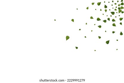 Green Leaf Organic Vector White Background Branch. Herbal Foliage Brochure. Grassy Leaves Tea Poster. Greens Spring Wallpaper.