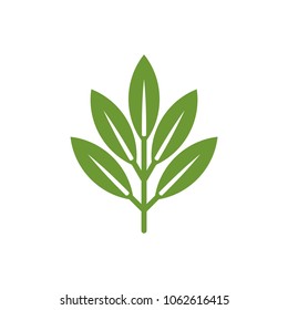 Green Leaf Ornament Nature Logo Template