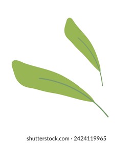 Green leaf over white background. Vector graphics. Artwork design element. Cartoon design for poster, icon, card, logo, label.
