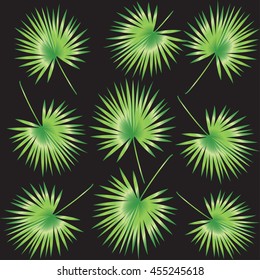 Green Leaf palm tree isolated on black background. Tropical tree leaves set. Palm leaf. Branch leaf. Exotic flower. Sukkot pattern. Sukkot Holiday. Vector illustration. For Art, Print, Web design.