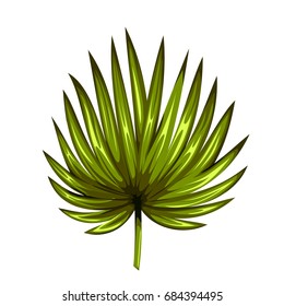 Green leaf of palm tree isolated on white background. Palm leaf icon. Vector illustration.