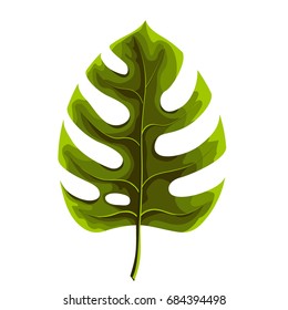 Green leaf of palm tree isolated on white background. Palm leaf icon. Vector illustration.