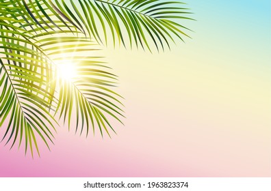 Green leaf of palm tree on white background