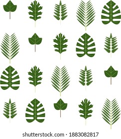 Green leaf pattern with natural and tropical nuances.

Suitable for tote bag mockups, face masks, herbal products and more