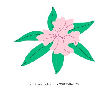 green leaf and pink flower beautiful nature plant soft texture blossom spring season beauty fresh floral