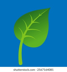 green leaf of a plant