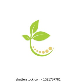 green leaf plant beauty nature vector logo