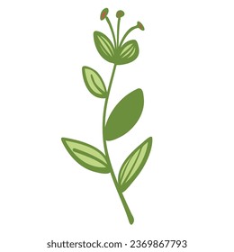 green leaf plant branch art drawn design
