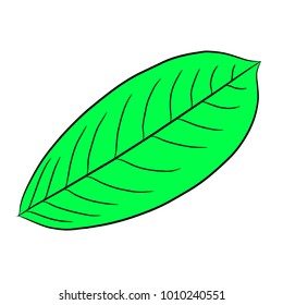 green leaf of plant from the contour black brush lines on white of vector illustration
