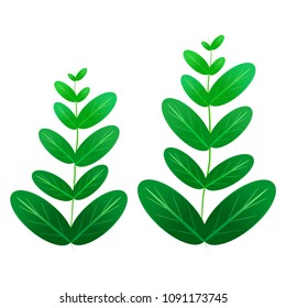 green leaf plant element decor isolated for game art design