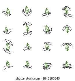 Hoja verde, planta en manos puestas. El paquete de iconos. Salvando a la naturaleza. Ilustración vectorial.