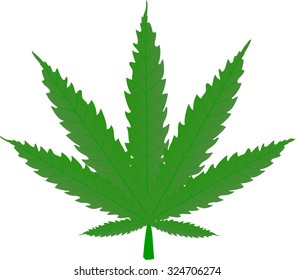  green leaf, plant hemp, sharp leaves, contains narcotic substances, a garden weed, accustoming, an illegal grass, a natural preparation, weeds, an illegal plant, medical  causes,