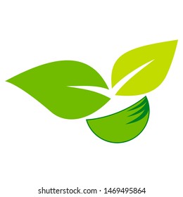 green leaf plant logo nature flora