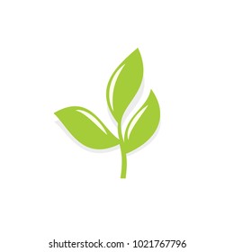 green leaf plant nature vector logo