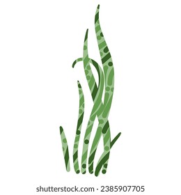 green leaf of a plant on a white background.