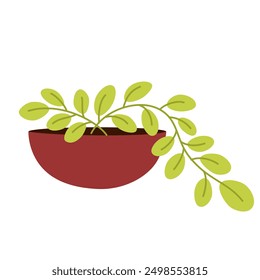 Green leaf plant in pot. Houseplant growing in flowerpot, string of pearls. Indoor greenery, leaves decoration. Home interior vegetation. Flat vector illustration isolated on white background