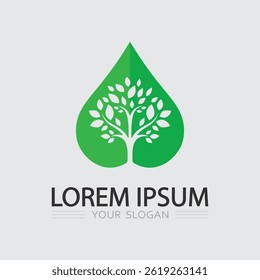 Green Leaf Plant Symbol nature icon and tree logo design graphic

