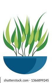 Green leaf plant vector or color illustration