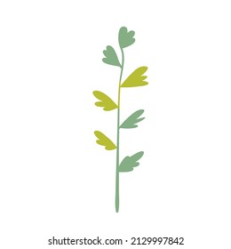 Green leaf of plant. Vector illustration. 