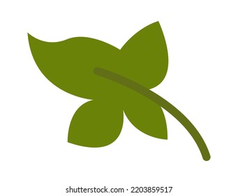 Green Leaf Plant. Vector illustration