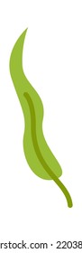 Green Leaf Plant. Vector illustration