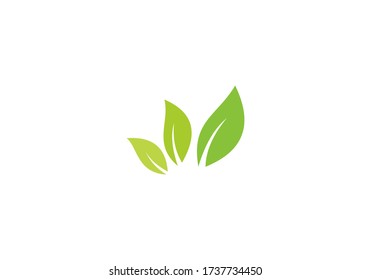 ilustración vectorial de hoja verde