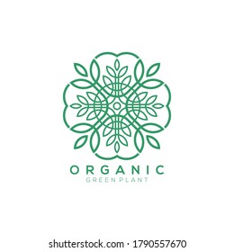 logotipo del vector de planta de hoja verde