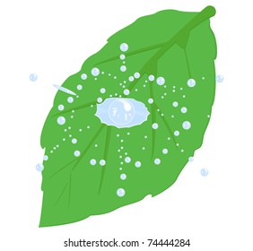Green leaf plants had fallen on him like drops of water that formed the spray