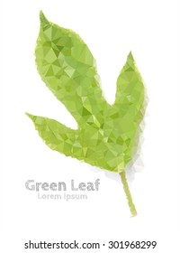 Green leaf polygonal geometric, Green peace, Symbol, Illustration design.